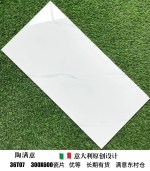 FL 272 24X48 KARARA WHITE